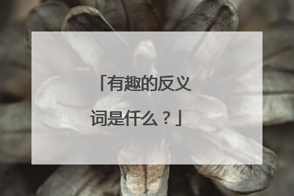 有趣的反义词是仟么?