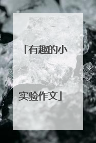 有趣的小实验作文