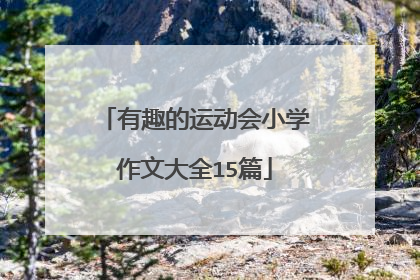 有趣的运动会小学作文大全15篇
