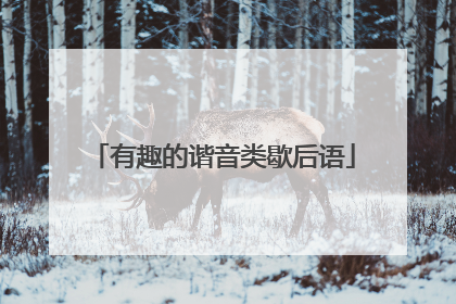 有趣的谐音类歇后语