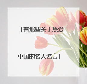 有那些关于热爱中国的名人名言