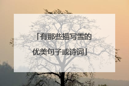 有那些描写雪的优美句子或诗词