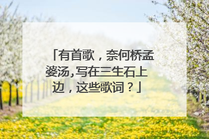 有首歌,奈何桥孟婆汤,写在三生石上边,这些歌词?