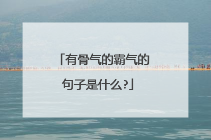 有骨气的霸气的句子是什么?