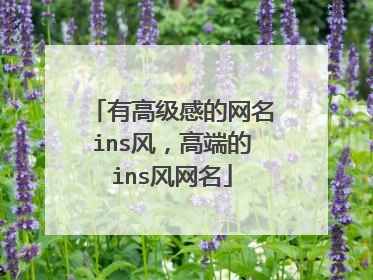 有高级感的网名ins风,高端的ins风网名