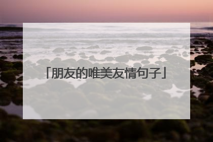 朋友的唯美友情句子