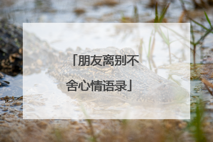 朋友离别不舍心情语录
