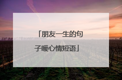 朋友一生的句子暖心情短语