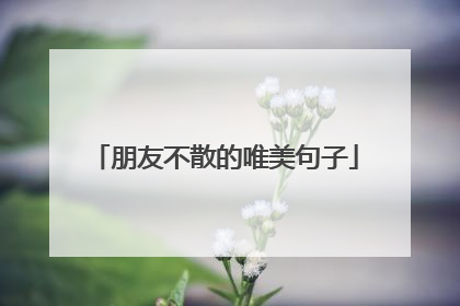 朋友不散的唯美句子
