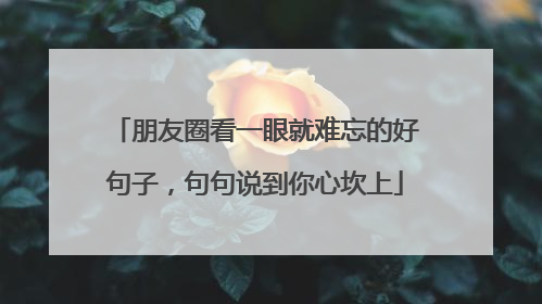 朋友圈看一眼就难忘的好句子，句句说到你心坎上