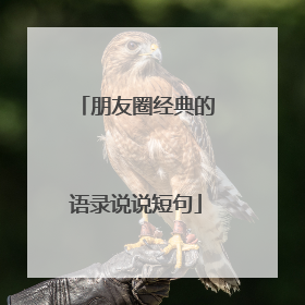 朋友圈经典的语录说说短句
