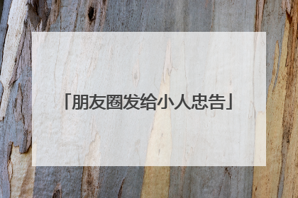 朋友圈发给小人忠告