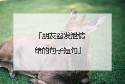 朋友圈发泄情绪的句子短句