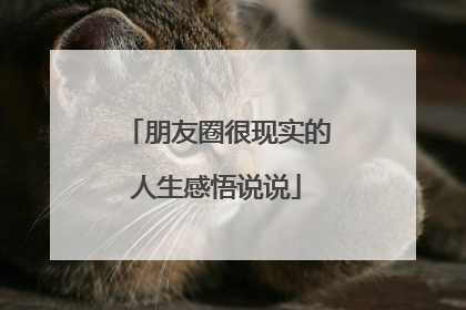 朋友圈很现实的人生感悟说说