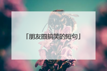 朋友圈搞笑的短句