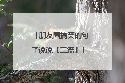 朋友圈搞笑的句子说说【三篇】