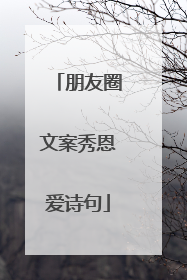 朋友圈文案秀恩爱诗句