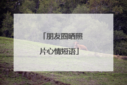 朋友圈晒照片心情短语