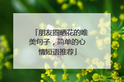 朋友圈晒花的唯美句子,简单的心情短语推荐