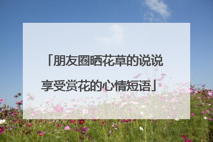 朋友圈晒花草的说说享受赏花的心情短语