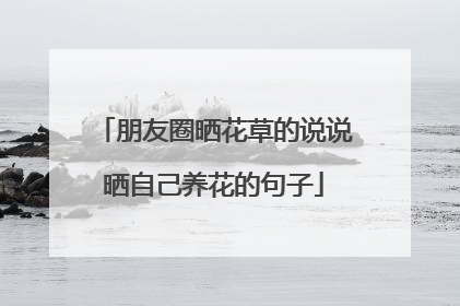 朋友圈晒花草的说说晒自己养花的句子