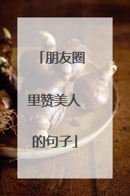 朋友圈里赞美人的句子