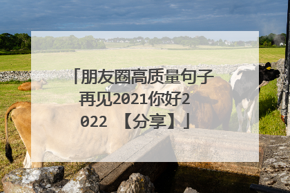 朋友圈高质量句子再见2021你好2022 【分享】