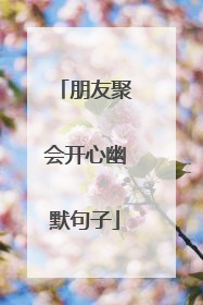 朋友聚会开心幽默句子