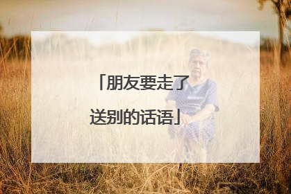 朋友要走了送别的话语