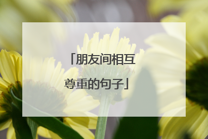 朋友间相互尊重的句子