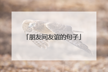 朋友间友谊的句子