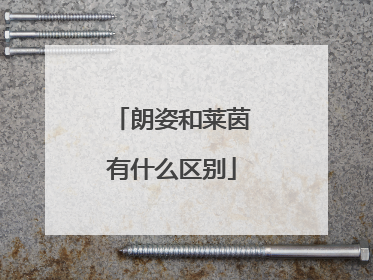 朗姿和莱茵有什么区别