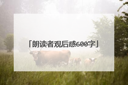 朗读者观后感600字