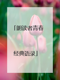 朗读者青春经典语录