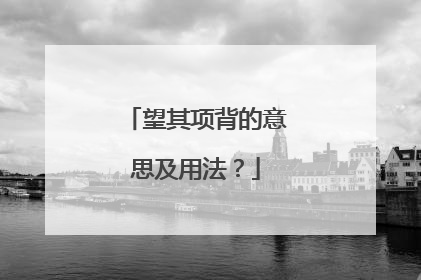 望其项背的意思及用法？