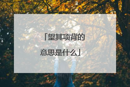 望其项背的意思是什么