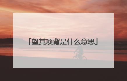 望其项背是什么意思