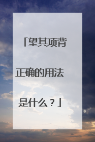 望其项背正确的用法是什么？