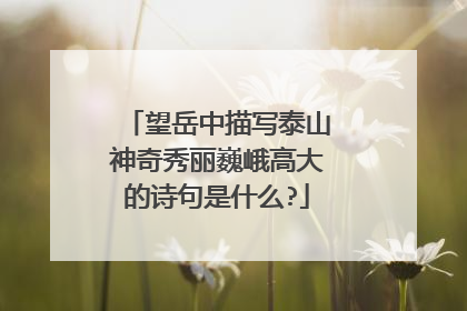 望岳中描写泰山神奇秀丽巍峨高大的诗句是什么?