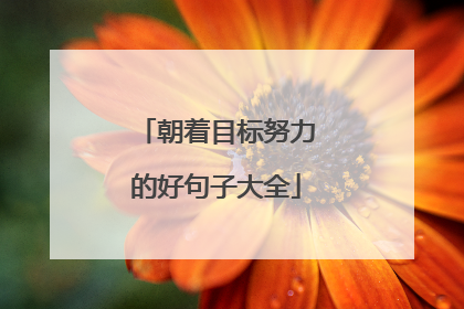 朝着目标努力的好句子大全