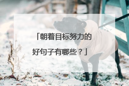 朝着目标努力的好句子有哪些?