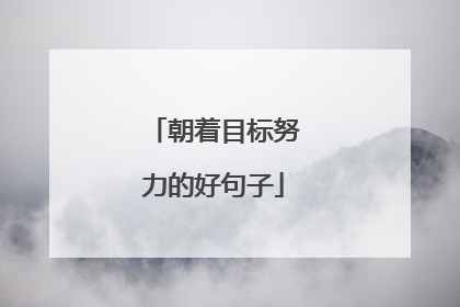 朝着目标努力的好句子