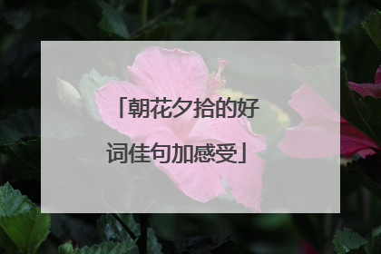 朝花夕拾的好词佳句加感受