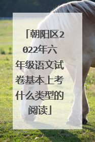 朝阳区2022年六年级语文试卷基本上考什么类型的阅读