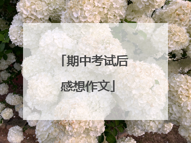 期中考试后感想作文