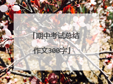 期中考试总结作文300字