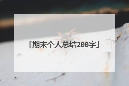 期末个人总结200字