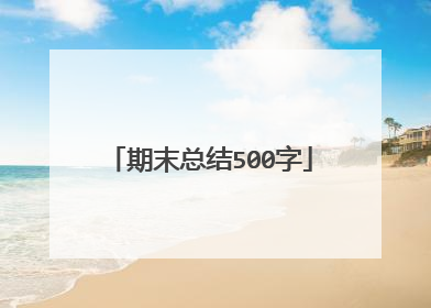 期末总结500字