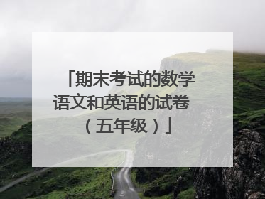 期末考试的数学语文和英语的试卷（五年级）