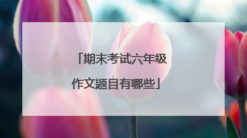 期末考试六年级作文题目有哪些